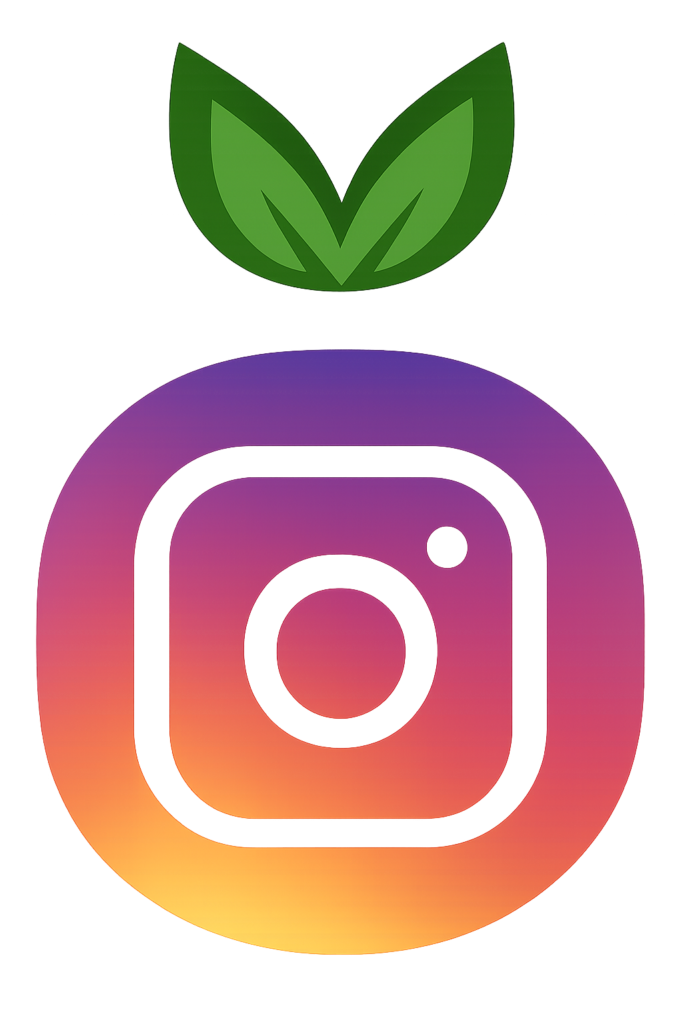 modinsta Update Instagram Pro APK to Latest Version